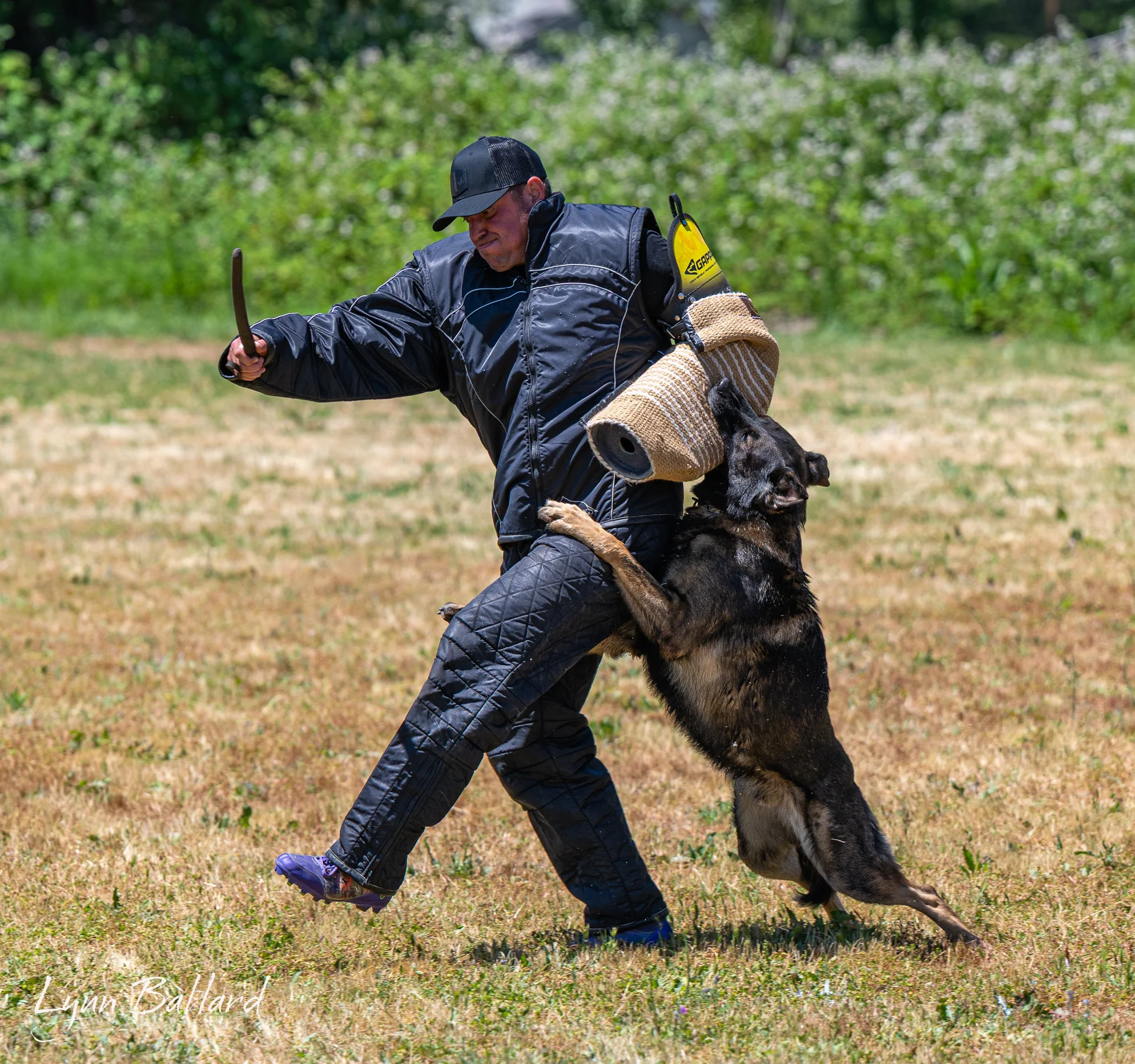 Jason Lake dog lover website photo