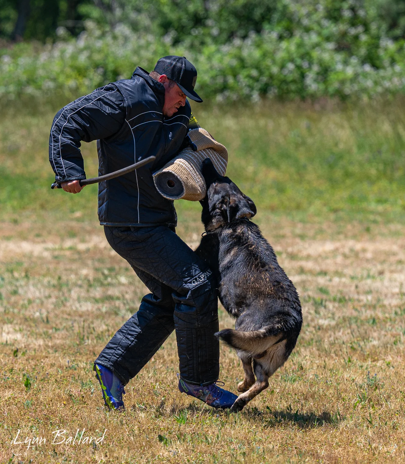 Jason Lake dog lover website photo