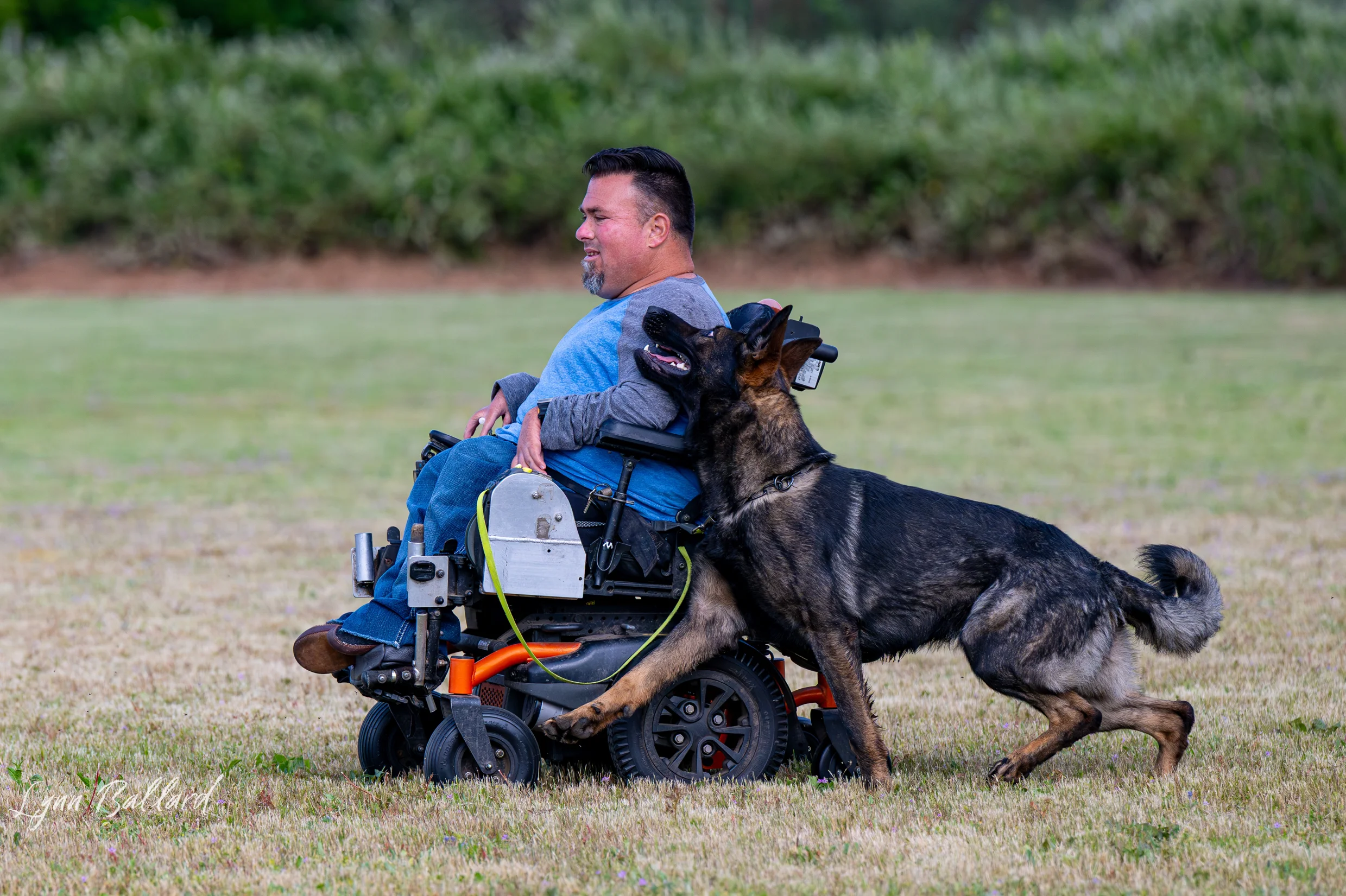 Jason Lake dog lover website photo