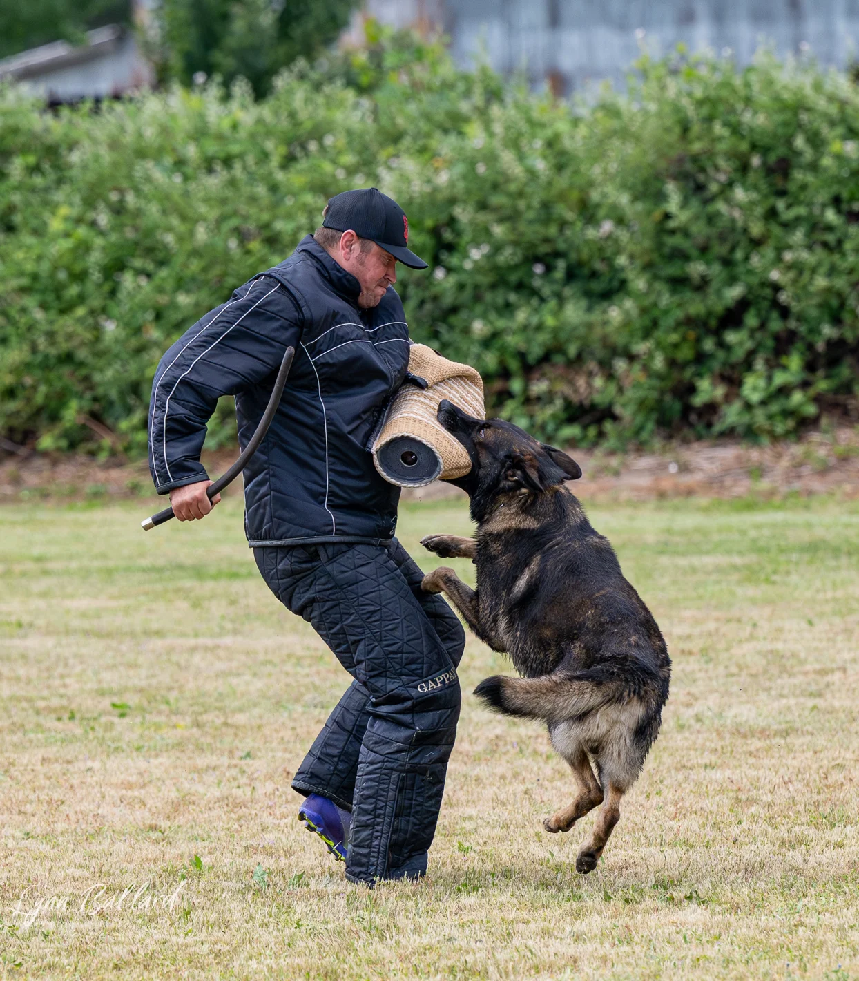 Jason Lake dog training lifestyle photo