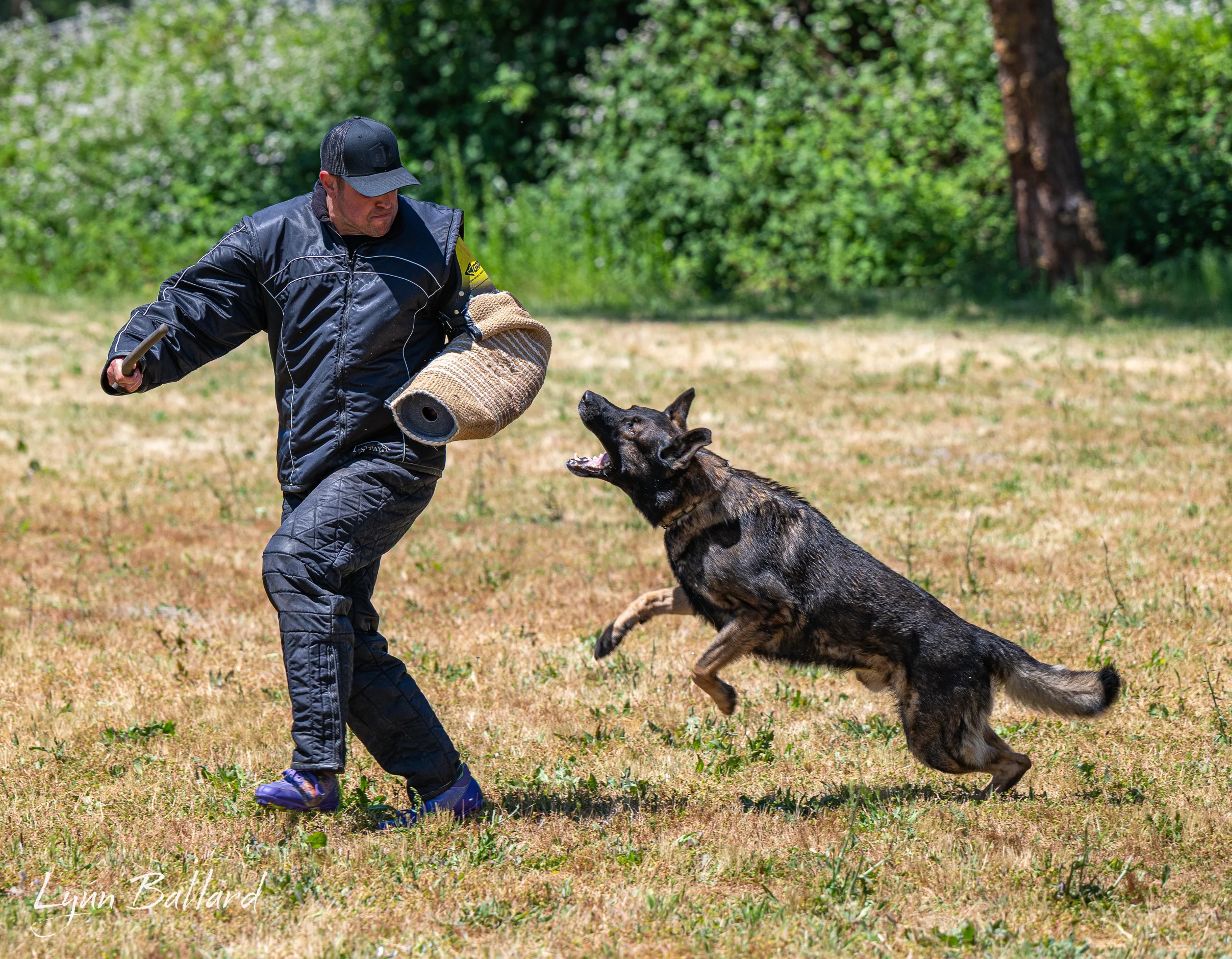 Meet Jason Lake dog lover and trainer