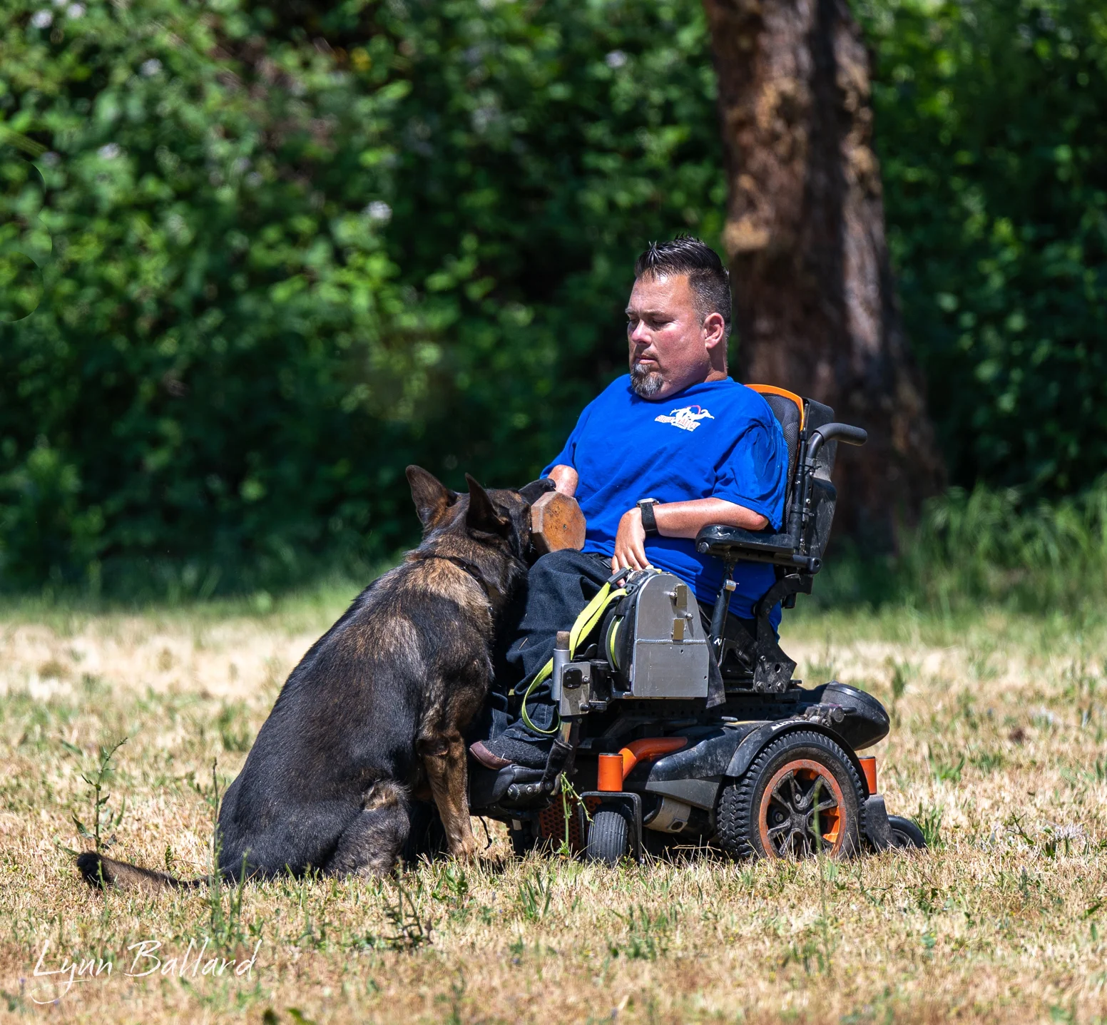 Jason Lake dog training lifestyle photo