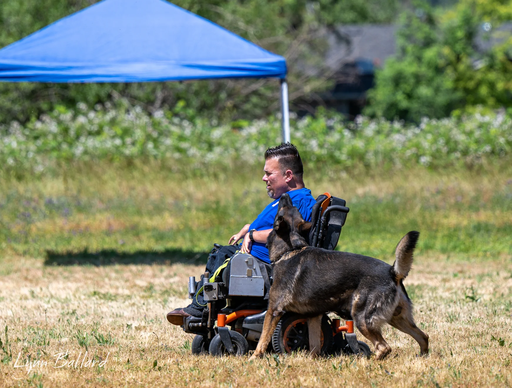 Jason Lake dog training lifestyle photo