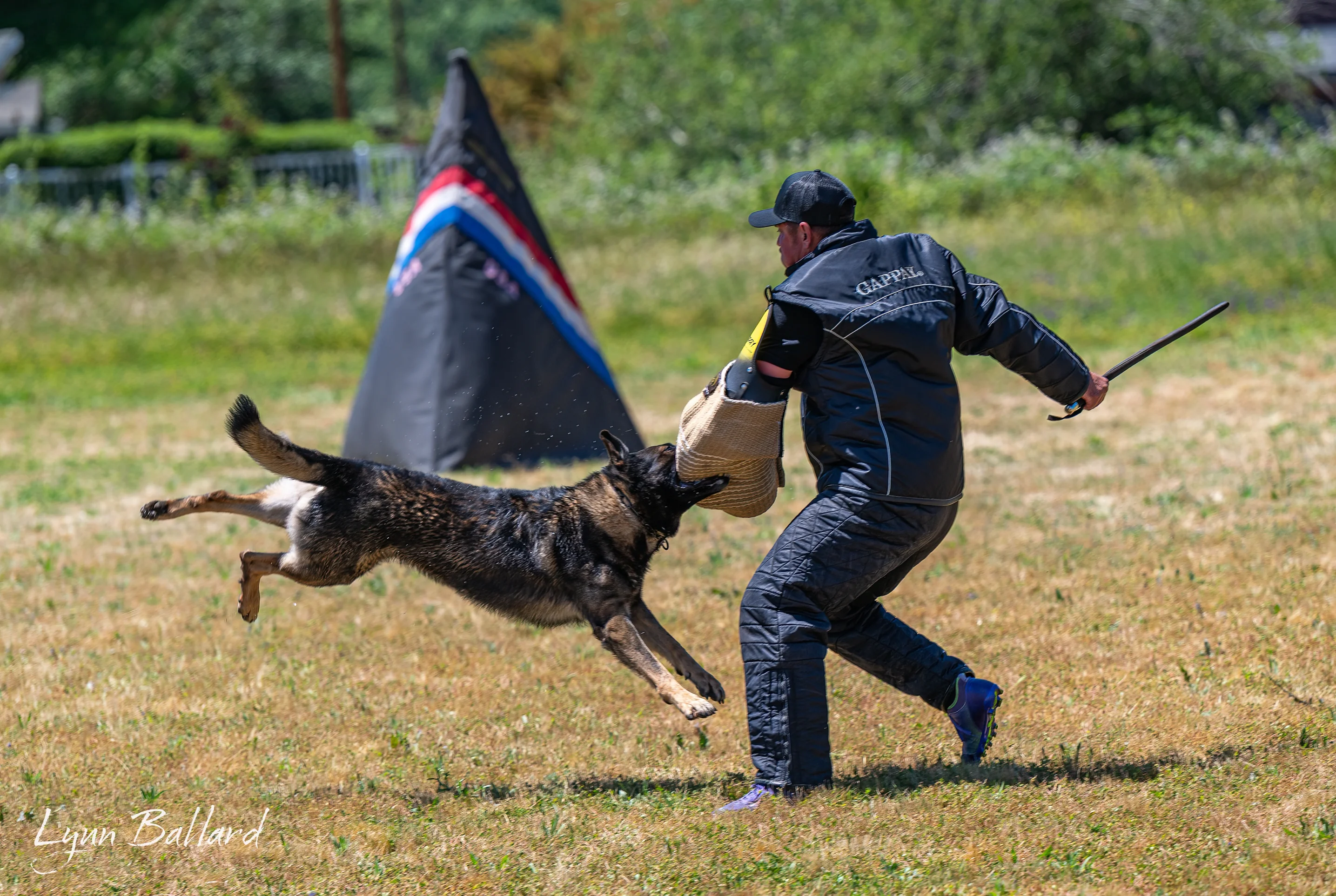 Jason Lake dog lover website photo