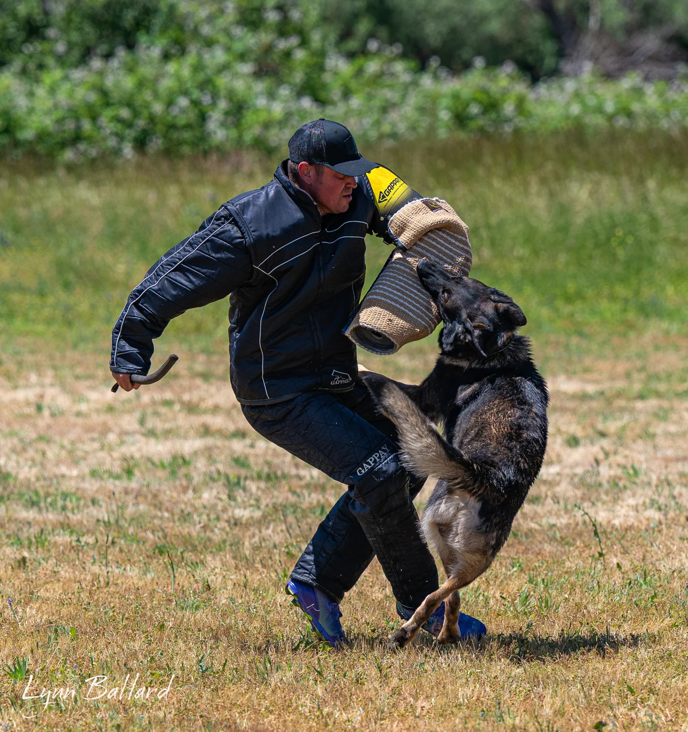 Meet Jason Lake dog lover and trainer