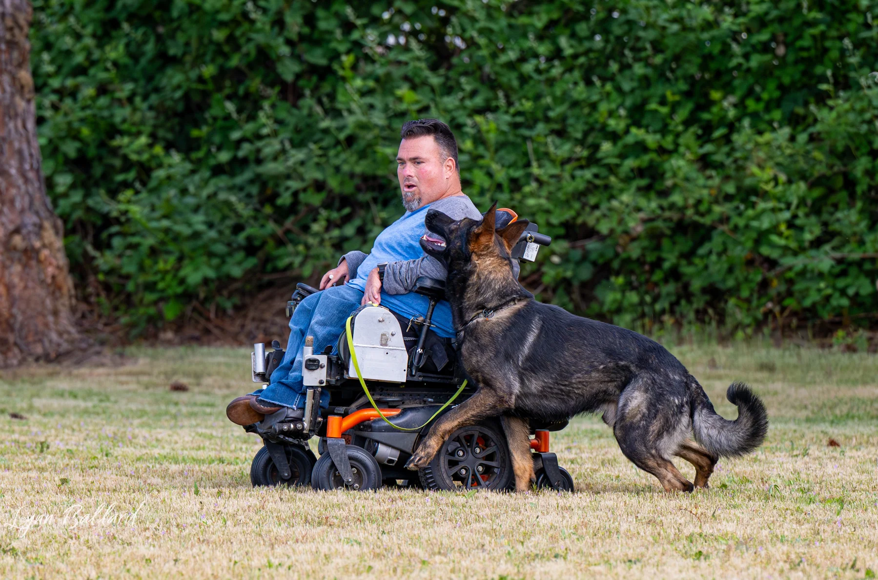 Jason Lake focused dog training photo
