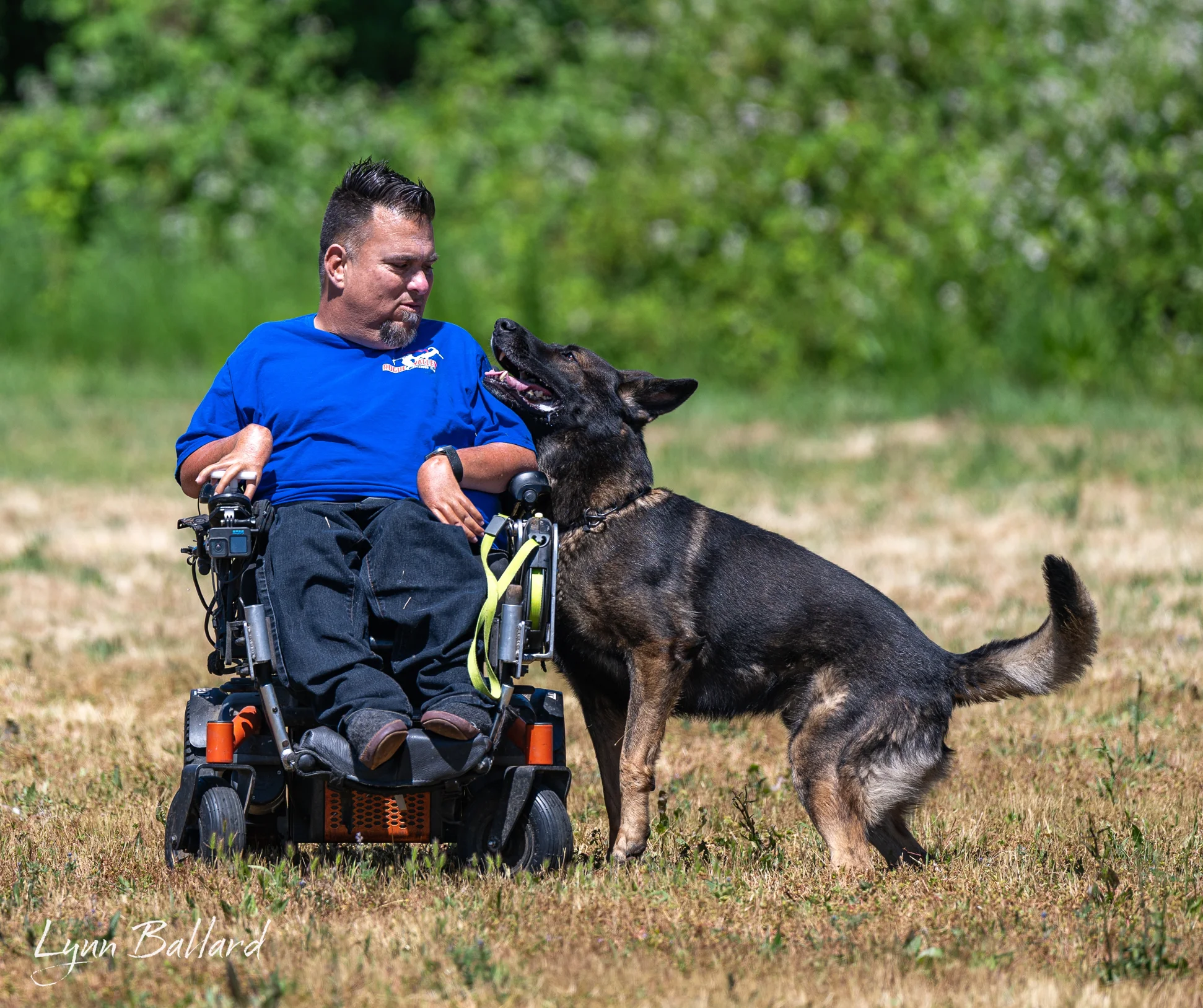 Jason Lake focused dog training photo