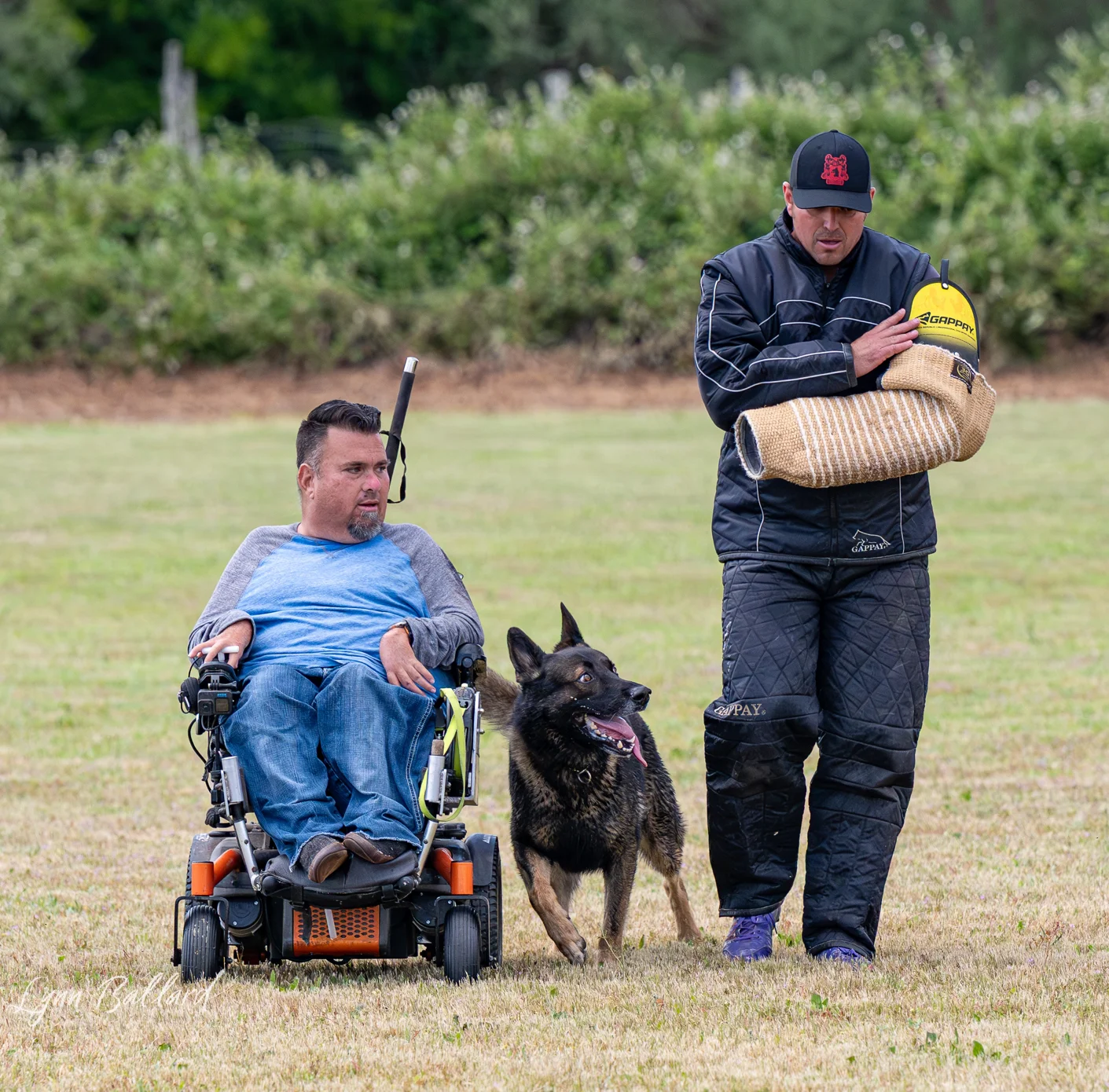 Jason Lake focused dog training photo