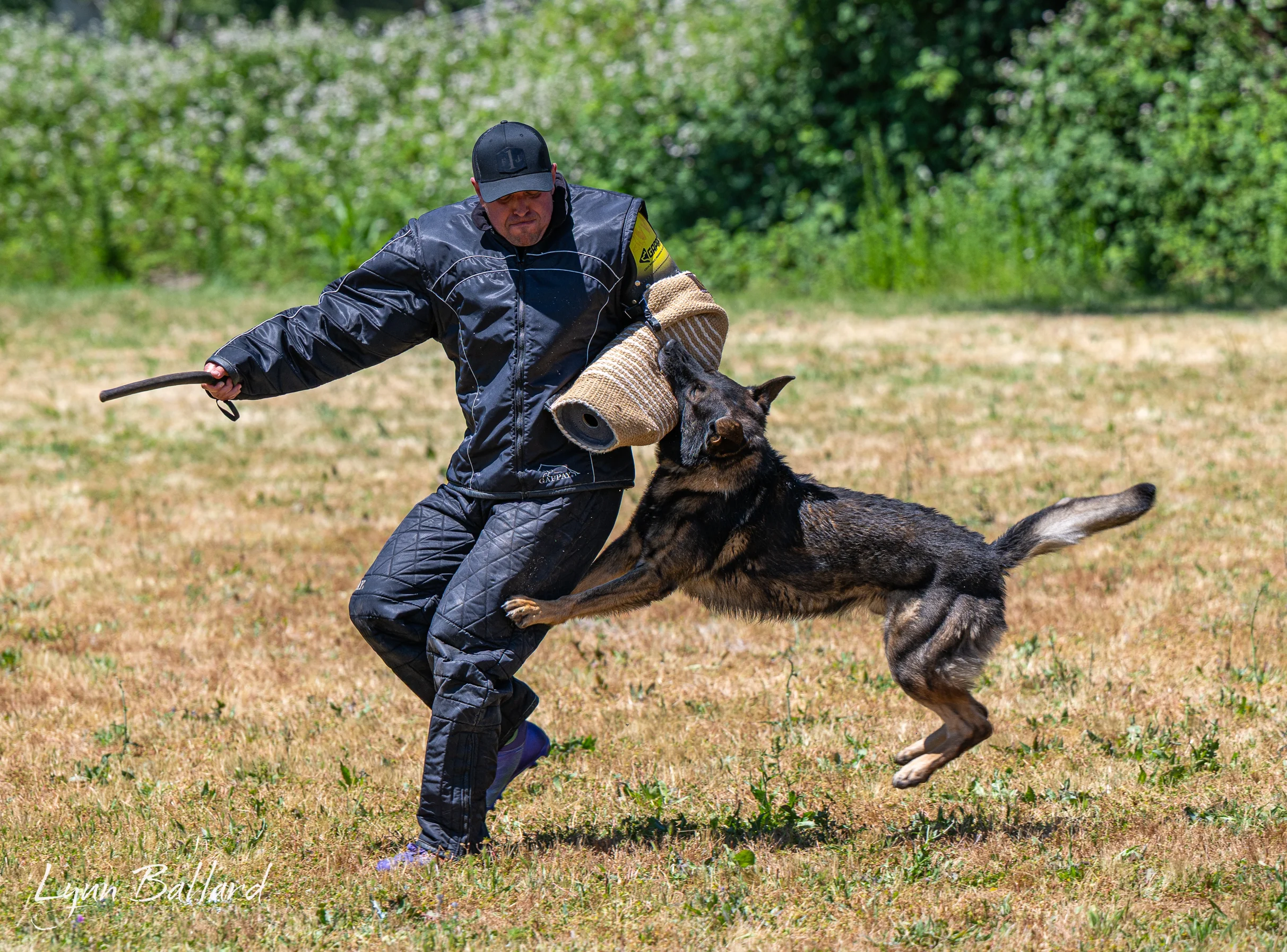 Jason Lake dog training lifestyle photo